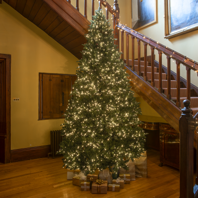 Windsor Fir Artificial Pre-Lit PE/PVC Christmas Tree 6.5FT, 7.5FT, 8.5FT, 10FT