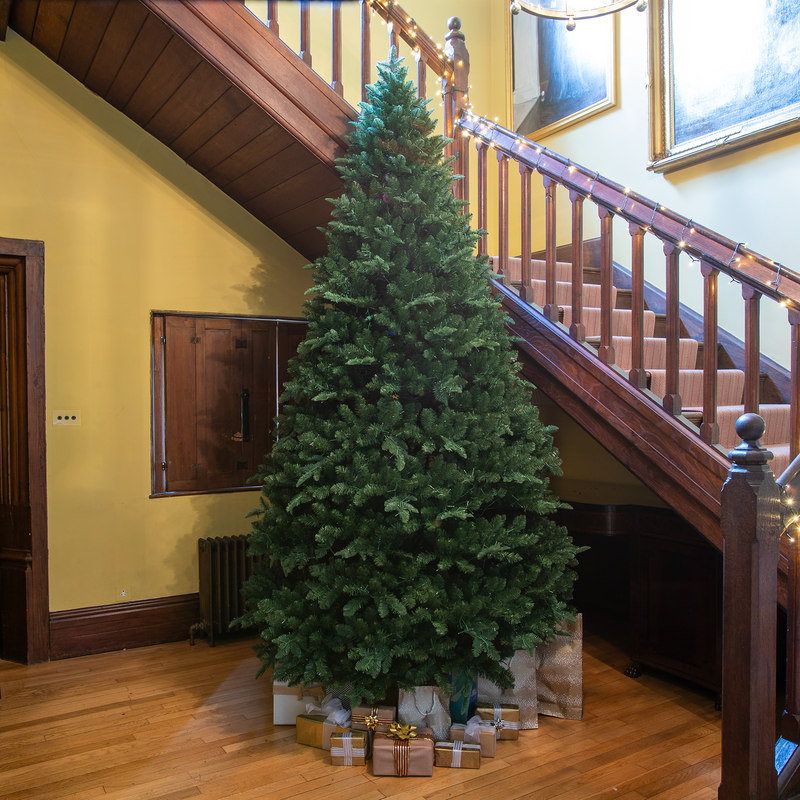 Windsor Fir Artificial PE/PVC Christmas Tree 6.5FT, 7.5FT, 10FT - Image 2