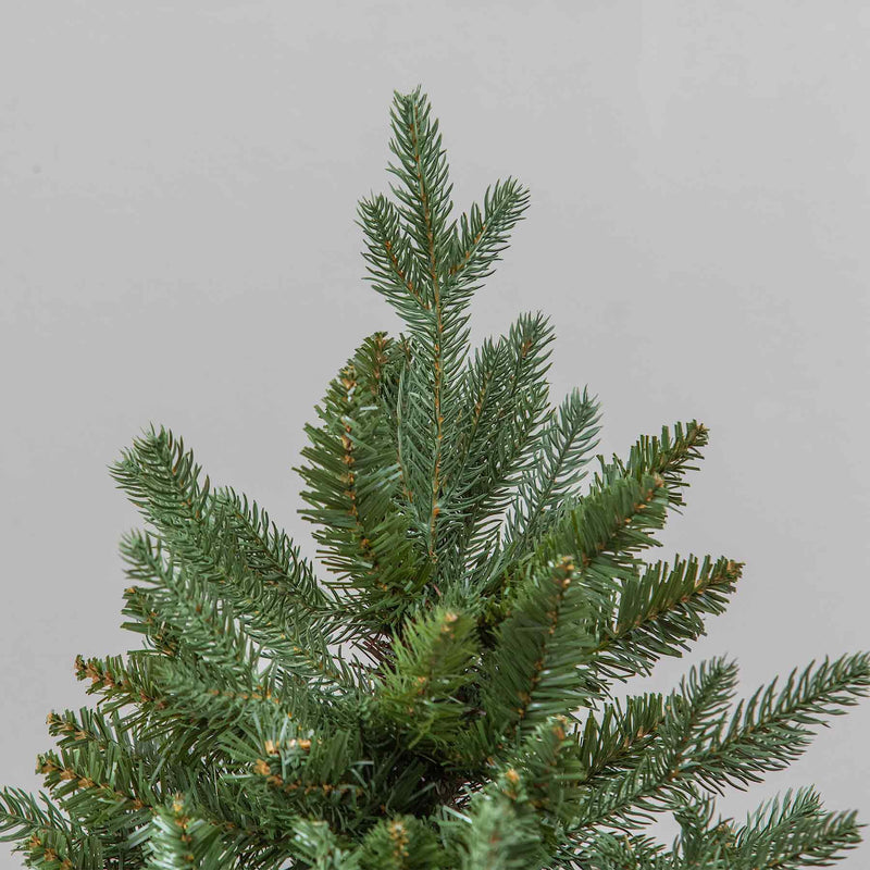 Basildon Artificial PE/PVC Green Christmas Tree 6FT, 7FT, 9FT - Image 3