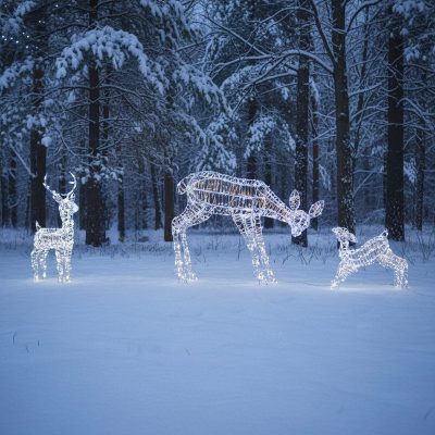 Outdoor Light Up Laser Ribbon Christmas Reindeer Mother and Babies Set